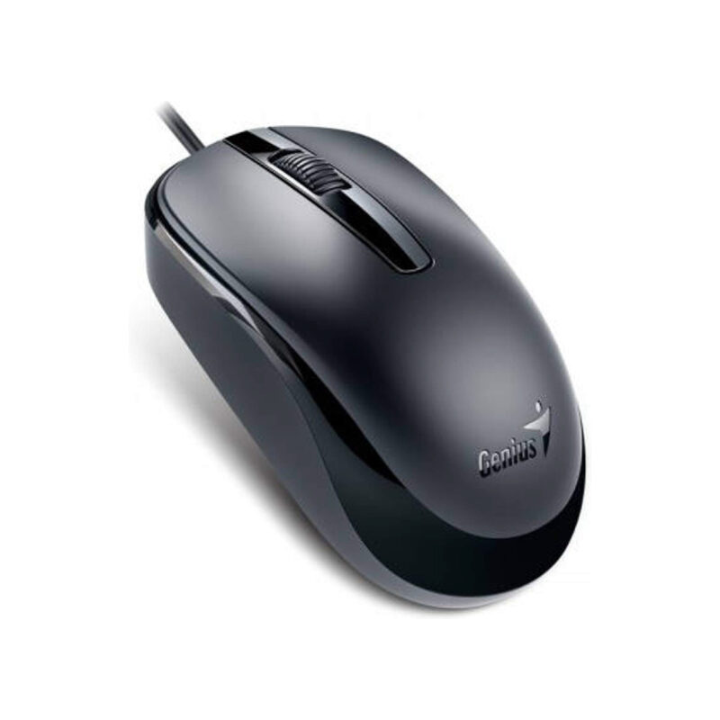 MOUSE GENIUS USB DX-120 NEGRO